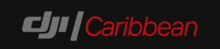 DJIcaribbean Logo Grey