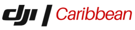 DJI Caribbean Logo